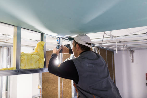 Best Insulation Materials and Products in Paynesville, MN