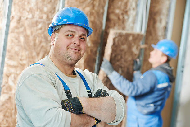 Best Energy Efficiency Solutions in Paynesville, MN