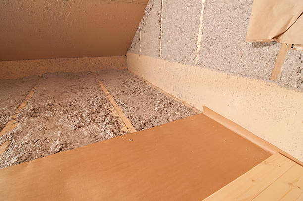 Best Insulation Maintenance and Repair in Paynesville, MN